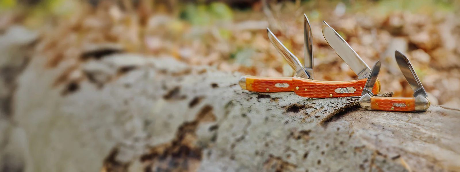 Timeless Craftsmanship Since 1889